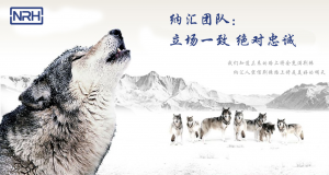 粉色视频WWW在线观看下载的团队精神