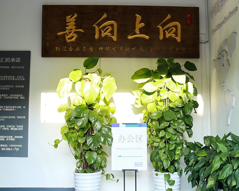 粉色视频WWW在线观看下载