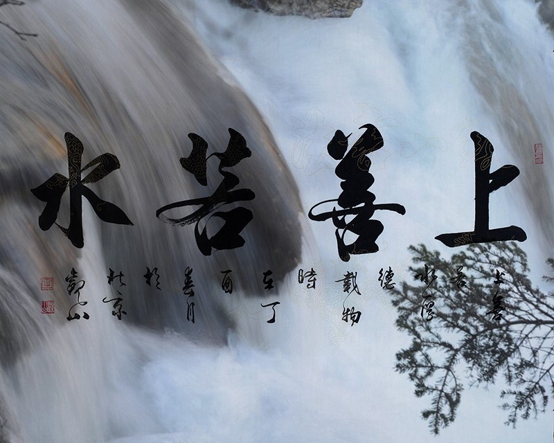 粉色视频WWW在线观看下载
